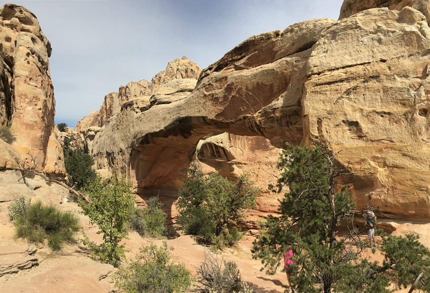 Capitol Reef National Park